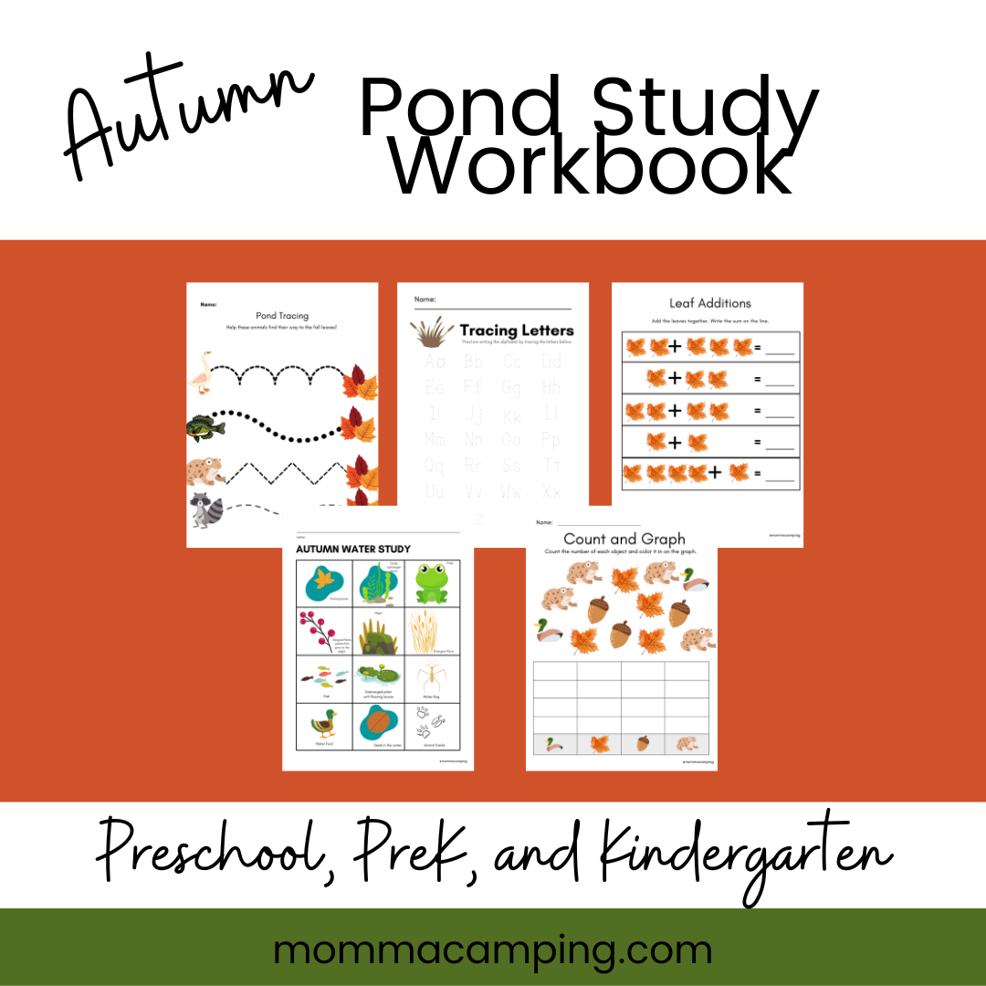 Autumn Pond Study Scavenger Hunt and Workbook for Preschool, PreK, and  Kindergarten • Momma Camping