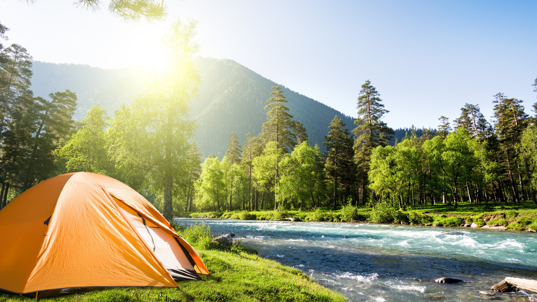 Essential Summer Camping Gear for Families