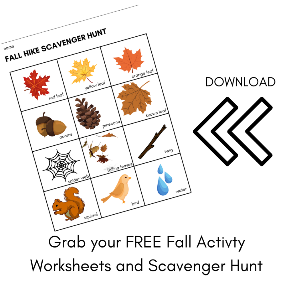 Nature Themed Fall Activity Worksheets and Scavenger Hunt • Momma Camping