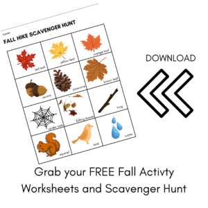 Download the FREE Fall Activity Worksheets and Scavenger Hunt for Preschoolers