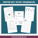 Winter Sky Study Workbook