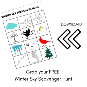 Winter Sky Scavenger Hunt