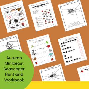 autumn mini beast workbook and scavenger hunt
