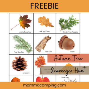 Scavenger Hunt with Leaves, Acorns, Pinecones and more