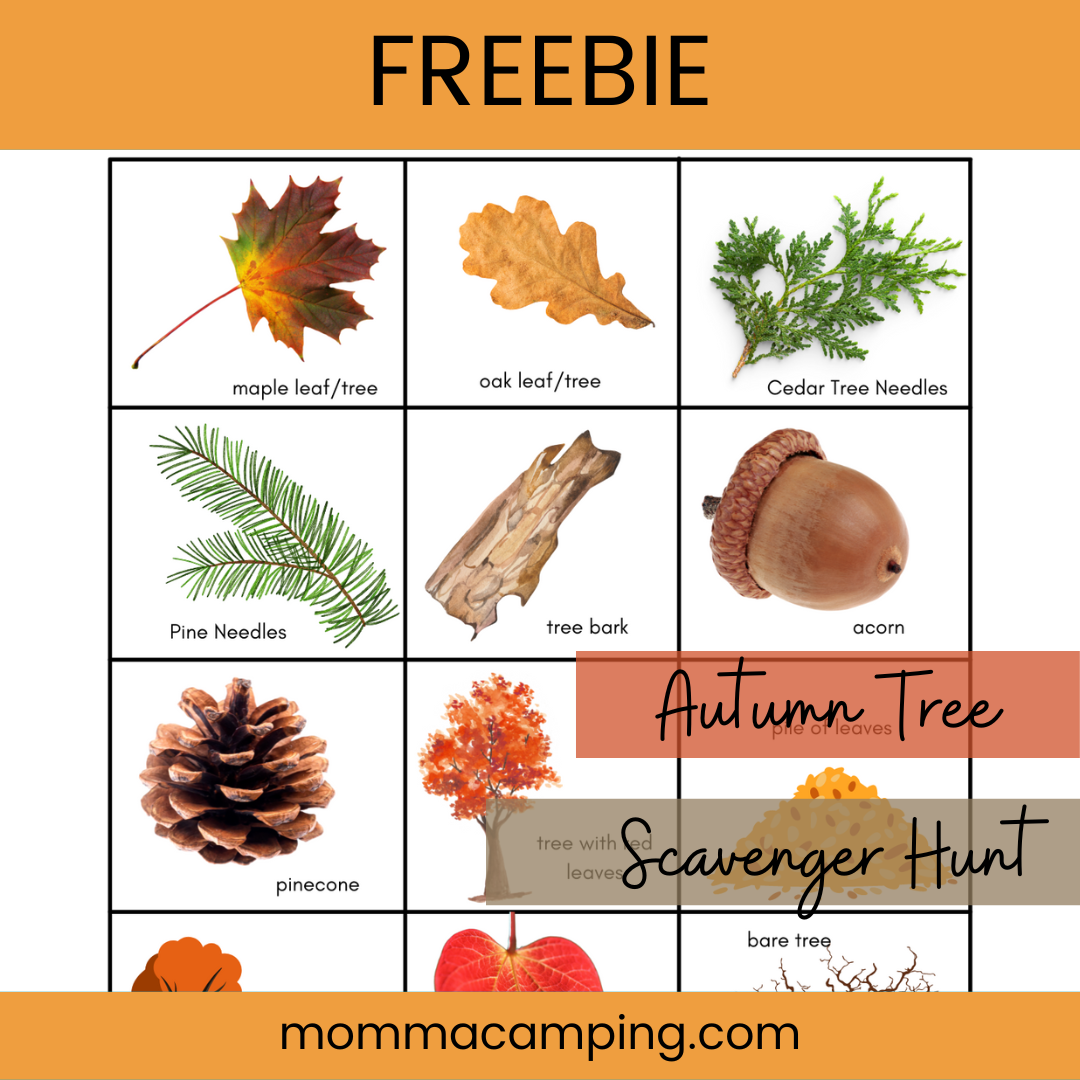 Autumn Tree Study Workbook and Scavenger Hunt • Momma Camping