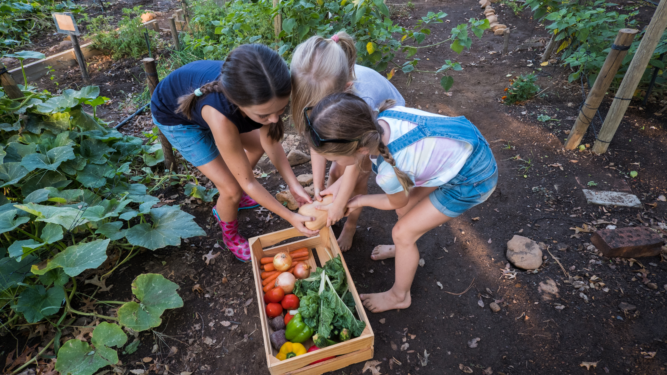 Making a Vegetable Garden with Kids