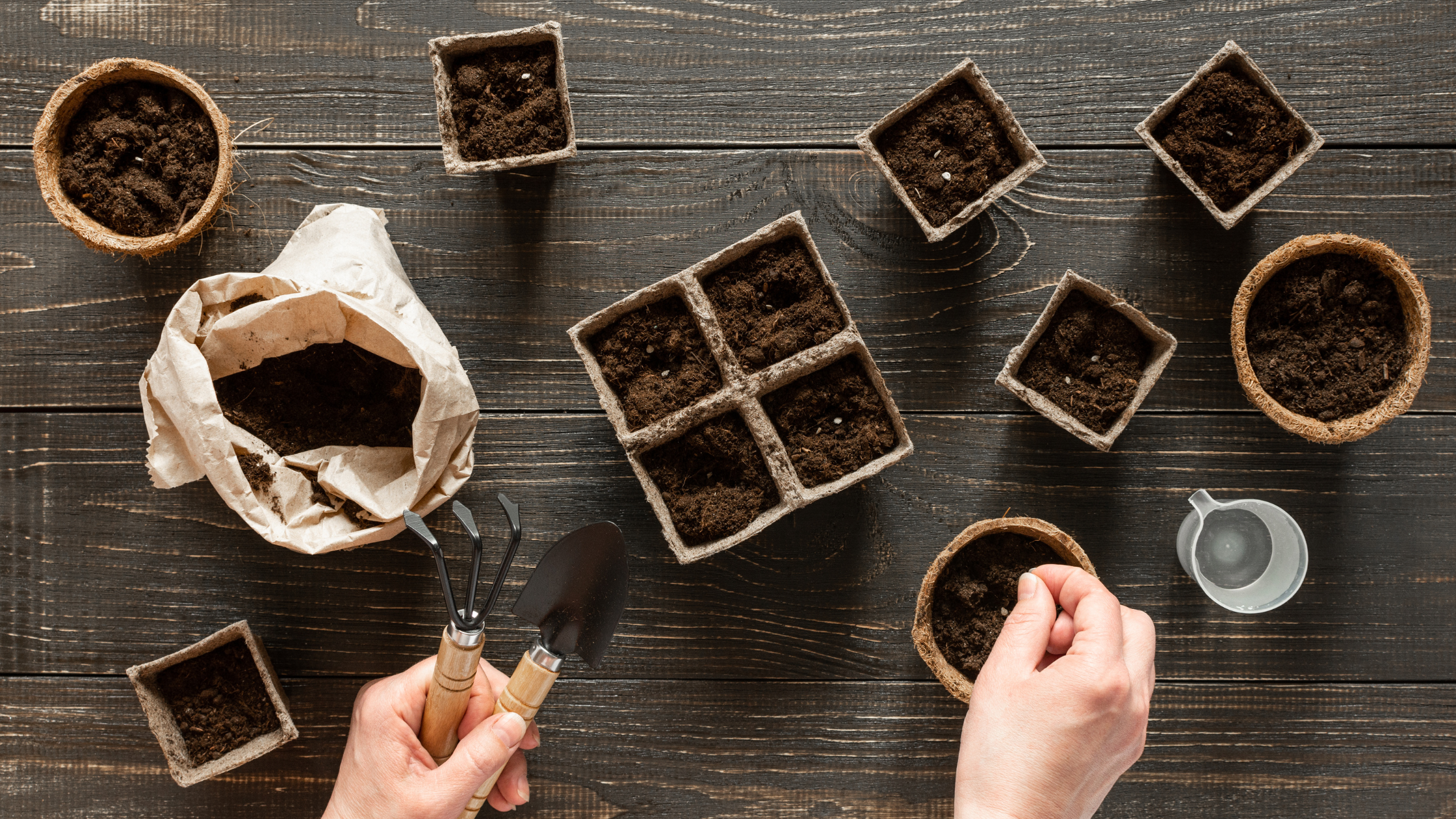 What is Seed Starting Soil and How to Make Your Own